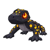 Salamander