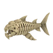 Skeletal Dunkleosteus