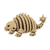 Skeletal Glyptodon